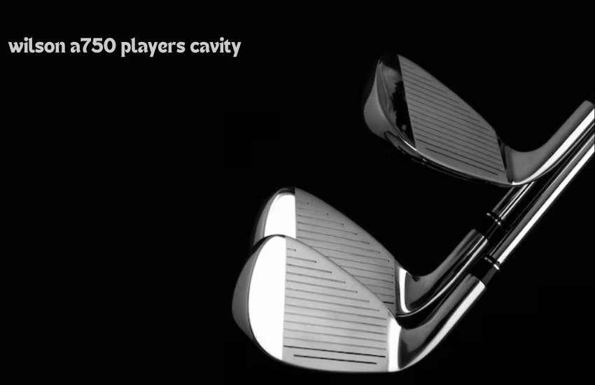 wilson a750 players cavity 